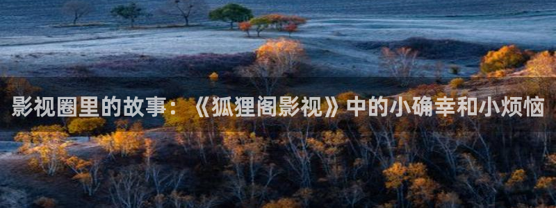 爱丫爱丫在线影院电视剧五福：影视圈里的故事：《狐狸阁影视》中的小确幸和小烦恼