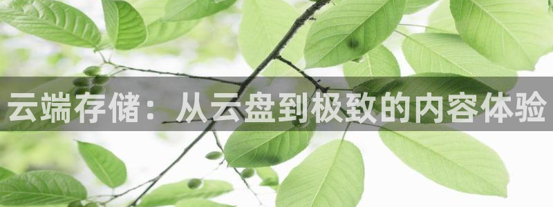 爱丫爱丫影院电视剧免费播放高清版下载安装