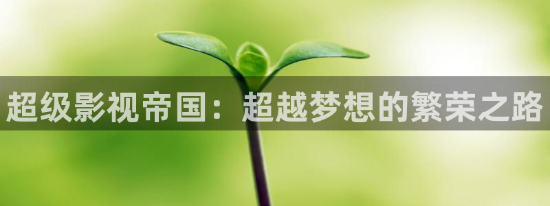爱丫爱丫免费视频观看电视剧：超级影视帝国：超越梦想的繁荣之路