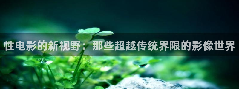 爱丫爱丫免费观看电视剧西瓜影院：性电影的新视野：那些超越传统界限的影像世界