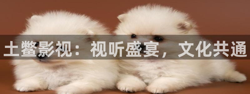 爱丫爱丫影院电视剧高清播放