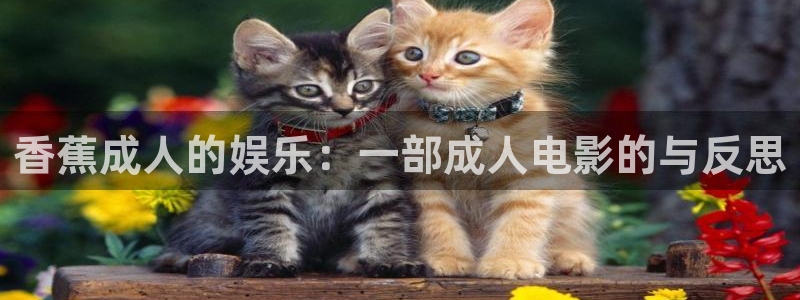 辣妹子爱丫爱丫电视剧在线观看
