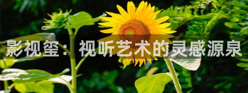 爱丫爱丫辣妹子在线影院电视剧