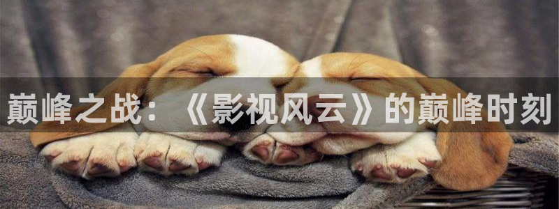 爱丫爱丫兄妹在线影院电视剧小说