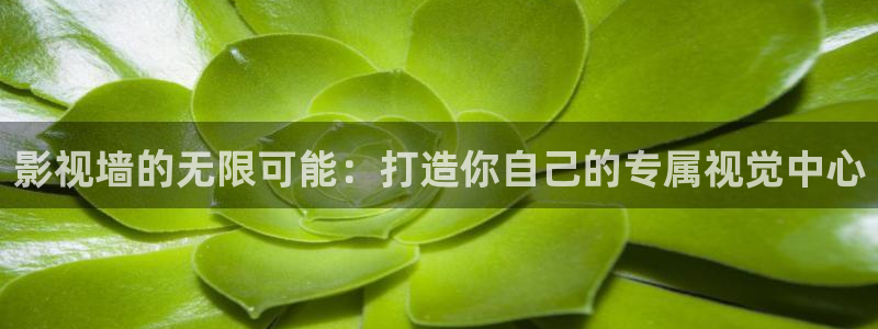 国产剧爱丫爱丫免费观看：影视墙的无限可能：打造你自己的专属视觉中心