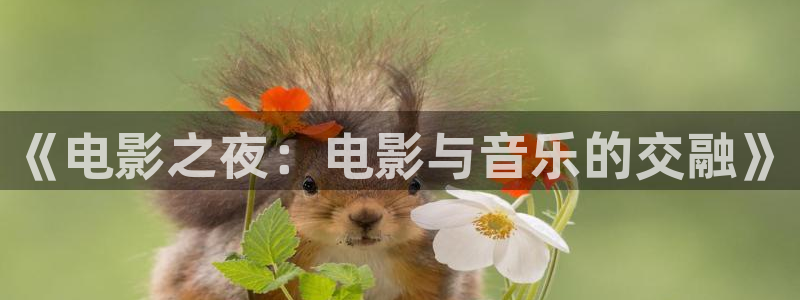爱丫爱丫电视剧免费观看在线高清